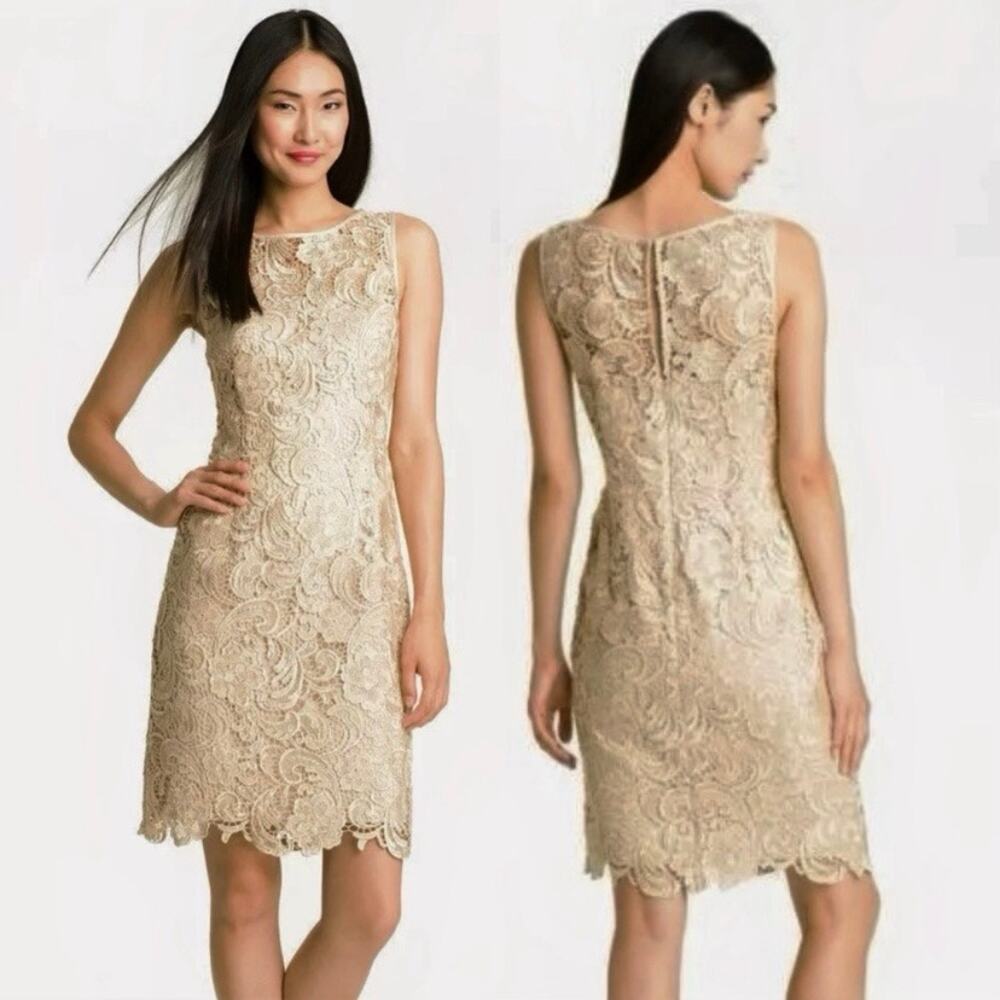 Adrianna Papell Champagne Lace Sheath Mini Dress Sz.8